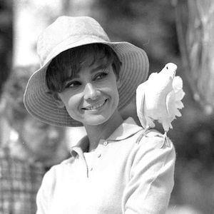 Meet your Posher, Rachel